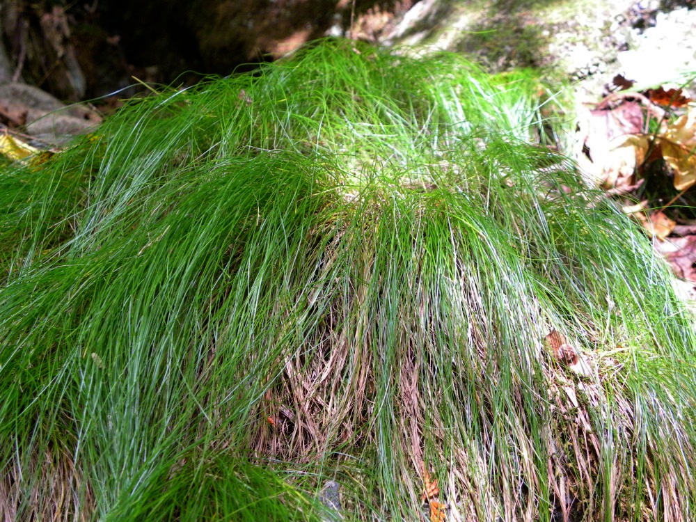 c0078410_8353565.jpg