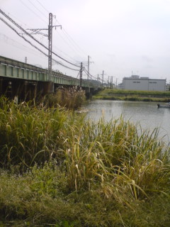 b0121015_20331378.jpg