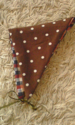 c0217515_1754958.jpg
