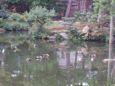 清水園 同仁斎_e0135219_14391643.jpg
