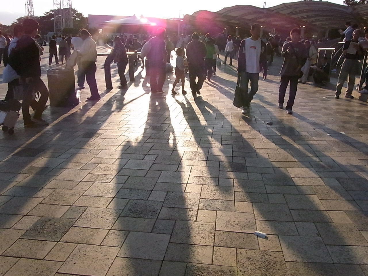 夕方の競馬場 影法師 東京の表面 夕方の競馬場 影法師 東京の表面
