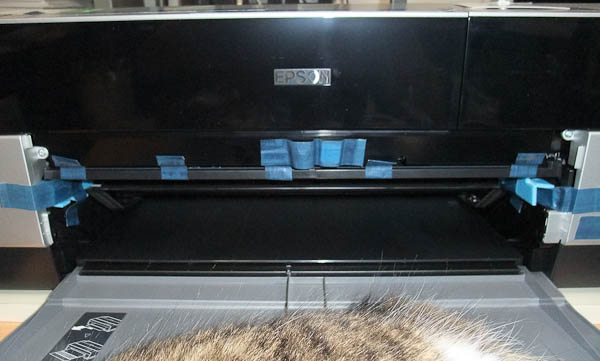f0077521_1315429.jpg