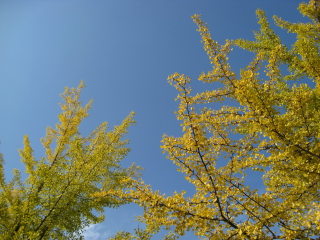 b0147224_21503678.jpg