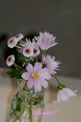 f0170524_1011895.jpg