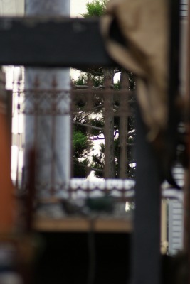 f0170524_10302272.jpg