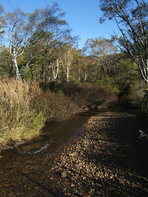 e0089232_8531994.jpg