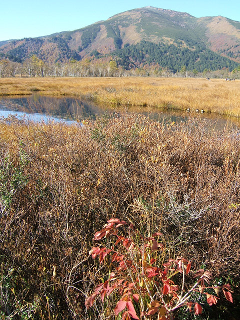 e0089232_8542745.jpg