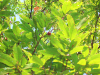 c0175440_21105755.jpg