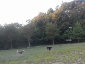 c0119142_753236.jpg