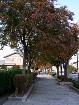 c0180650_23312579.jpg