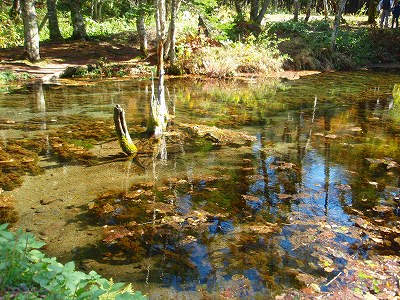 e0004756_8511811.jpg