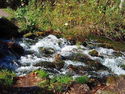 e0004756_8564095.jpg