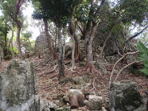 c0180460_2144954.jpg