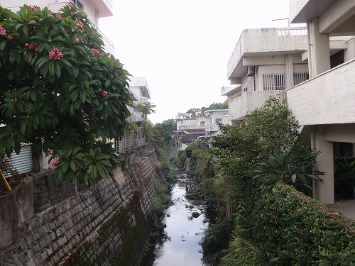 c0180460_216485.jpg