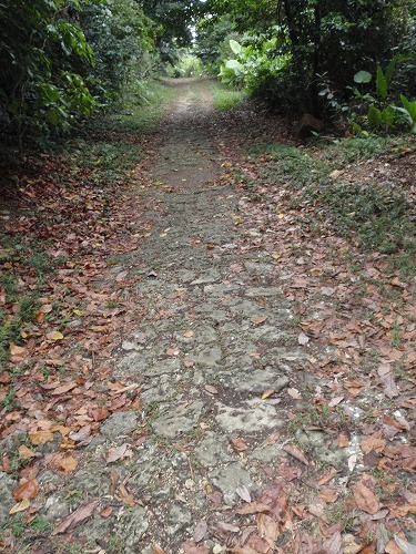 c0180460_2214162.jpg