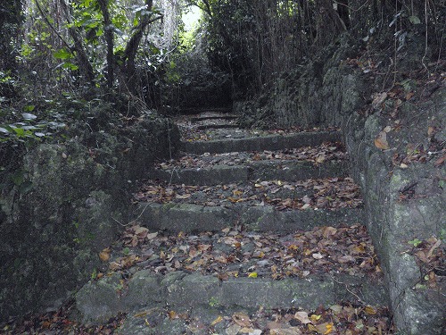 c0180460_2255019.jpg