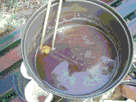 c0085163_2071419.gif