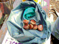 c0085163_2083438.gif