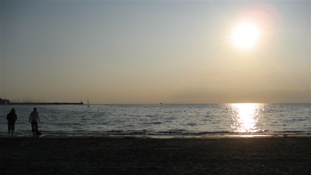 a0123465_1545311.jpg