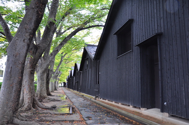 酒田・鶴岡の旅（５）　山居倉庫②_b0053765_20341439.jpg