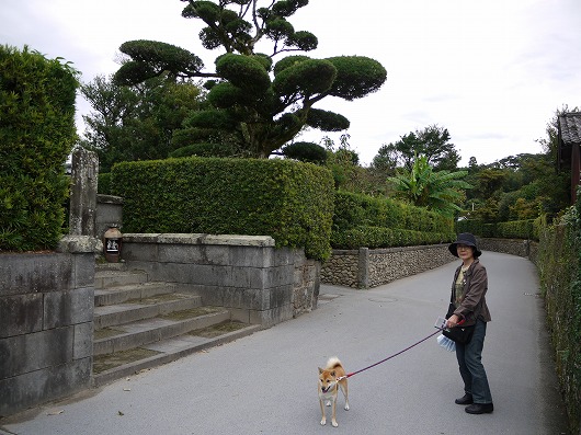 蘭子と共に中国九州地方の旅　４日目知覧と開聞岳_b0135970_12341841.jpg