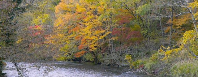 b0068572_1934630.jpg