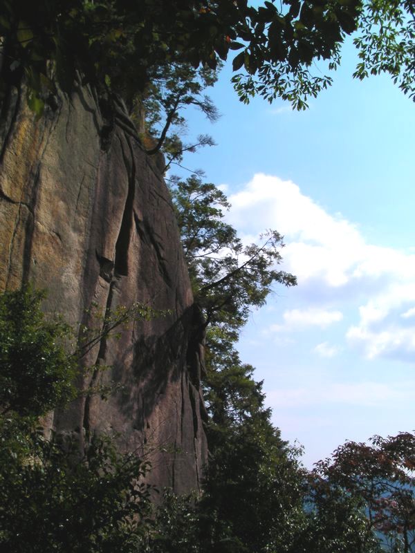 a0048975_0163415.jpg