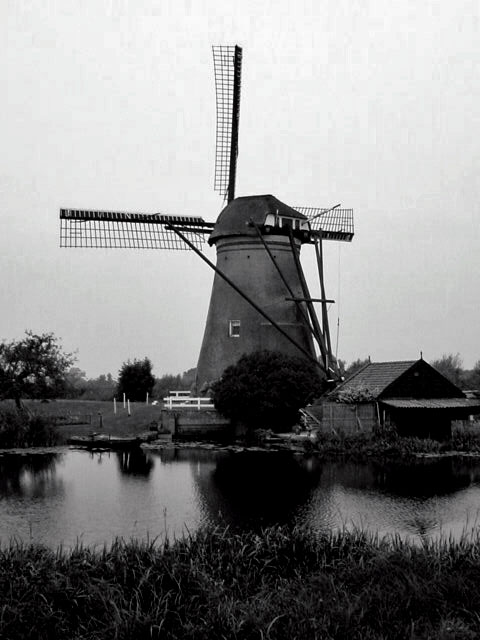 b0110880_16323994.jpg