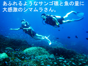 とうとうシミラン解禁!_f0144385_22515067.jpg