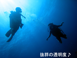 とうとうシミラン解禁!_f0144385_2251946.jpg