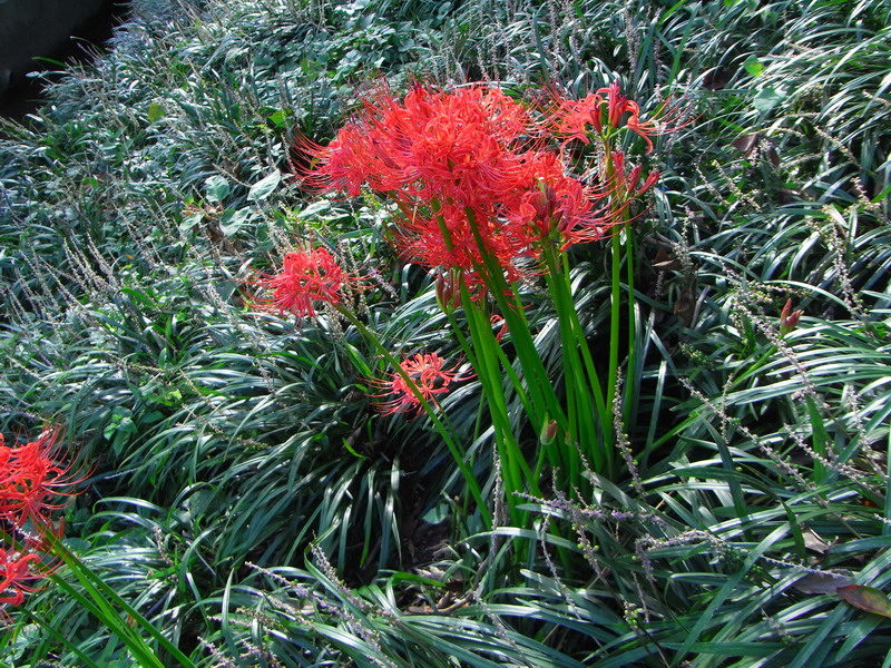 f0204094_2213453.jpg