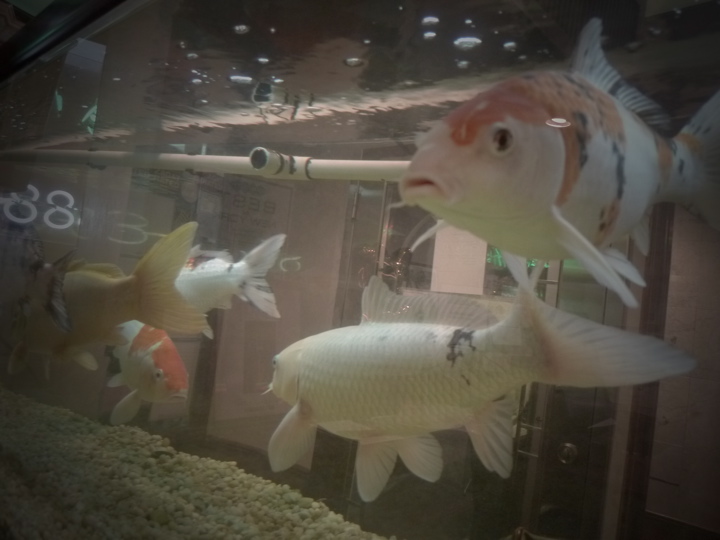 チャイナタウン。_f0170995_5182112.jpg