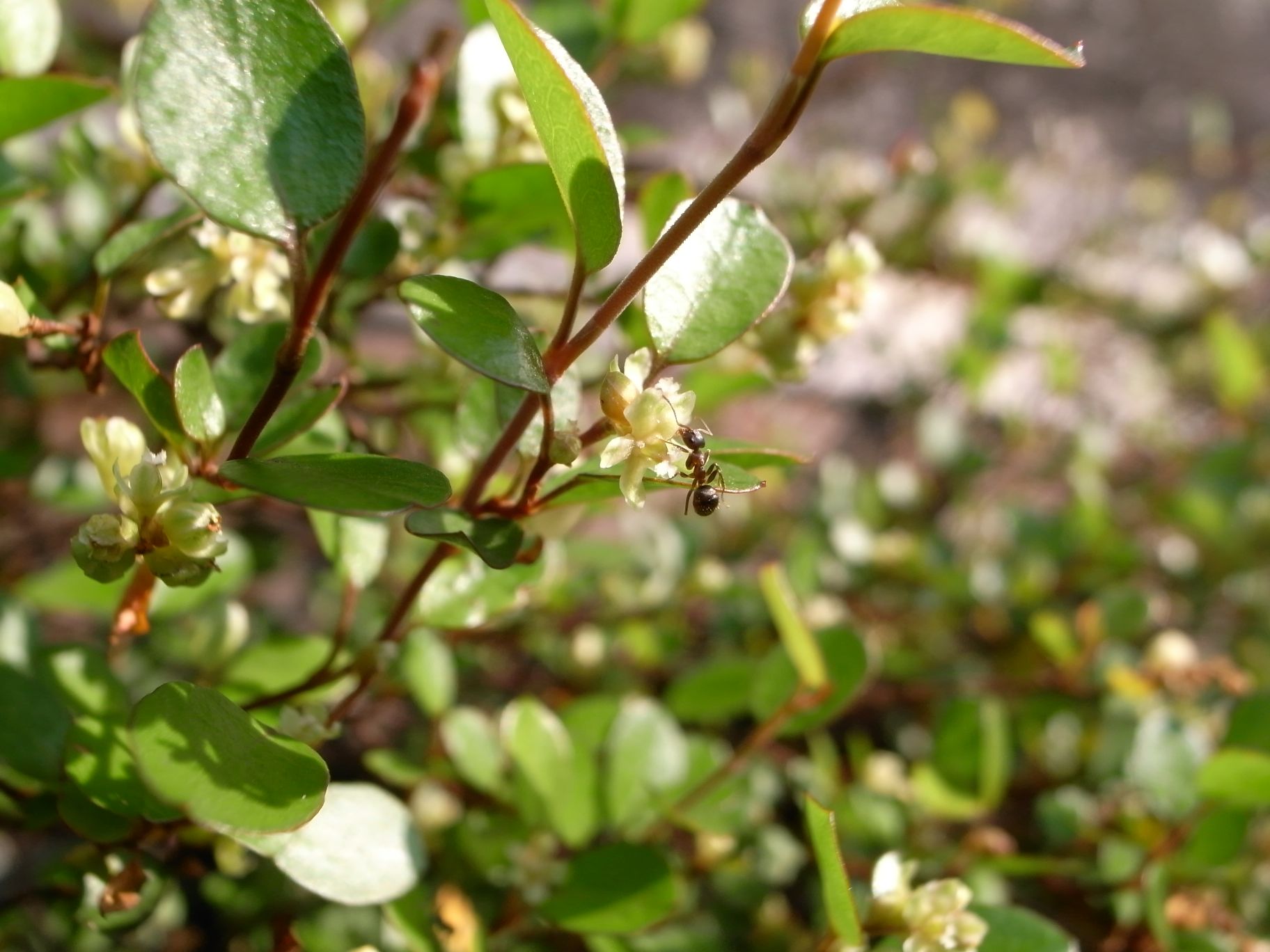 c0167798_10281270.jpg