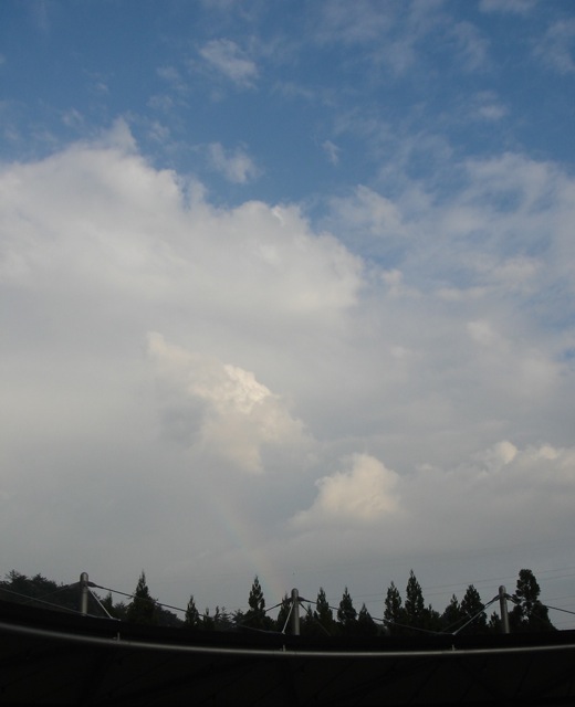 f0179202_10212261.jpg