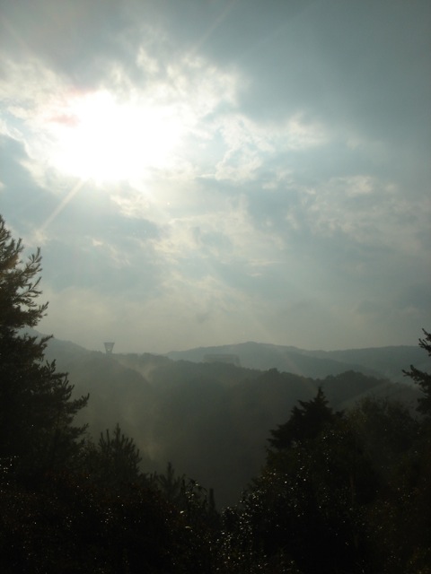 f0179202_952481.jpg