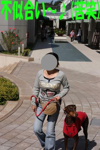 e0100007_19253669.jpg
