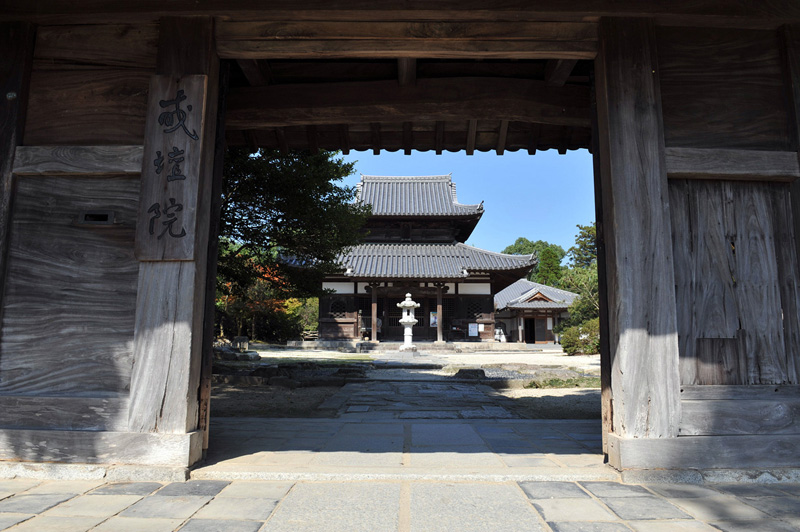 太宰府 戒壇院 写真集_a0042310_193663.jpg