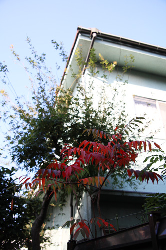 b0136812_2093088.jpg