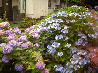 c0030112_1323267.jpg