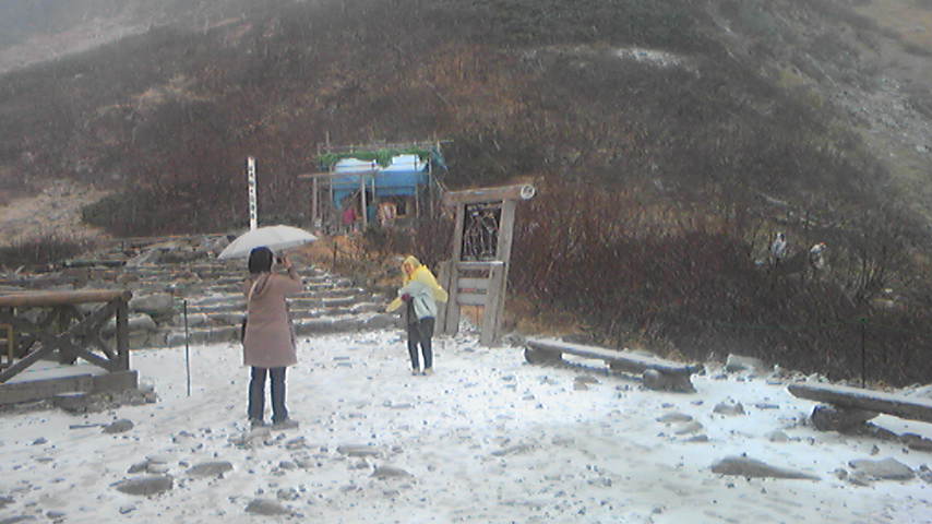 d0004717_7122768.jpg