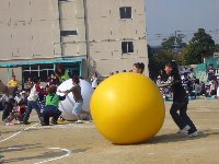c0133422_135923.jpg