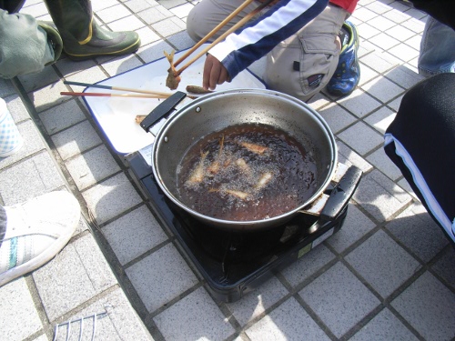 b0091423_05777.jpg