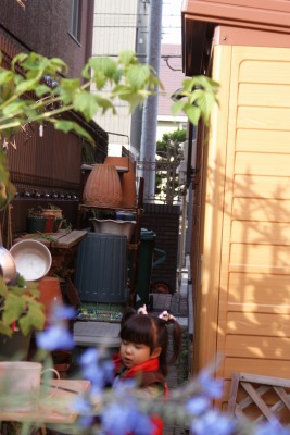 f0170524_21362974.jpg