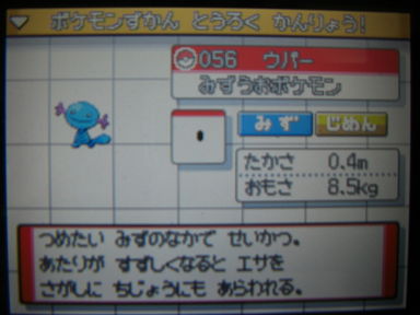 ポケットモンスターハートゴールドプレイ日記 つきねこの日記 ポケットモンスターハートゴールドプレイ日記 つきねこの日記