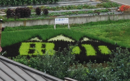 青森県　田舎館村　田んぼアート見学_c0060927_21502983.jpg