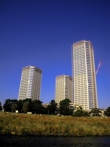 c0202727_22495852.jpg