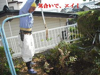 ハイスピード作業_f0031037_18444359.jpg