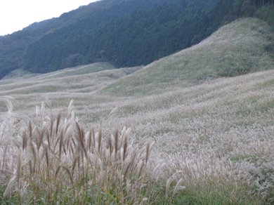 c0031839_23163710.jpg