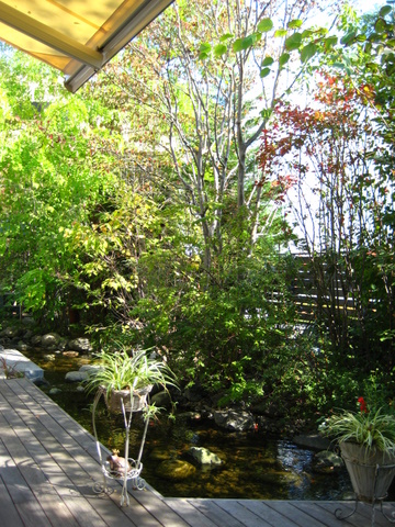 b0168840_2217358.jpg