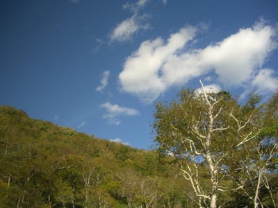 e0110940_2284417.jpg